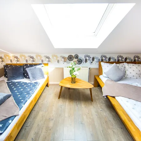 Bookeinfach - Private - Sauna Jacuzzi Whirlpool Swimmingpool Alahna Sup Beachvolleyball Billiards Ping Pong Cinema Theater Music Disco Ball Bbq Und Parkplaetze * Bad Ems