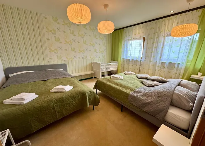 Bookeinfach - Private - Sauna Jacuzzi Whirlpool Swimmingpool Alahna Sup Beachvolleyball Billiards Ping Pong Cinema Theater Music Disco Ball Bbq Und Parkplaetze Bad Ems