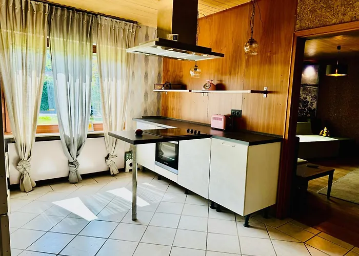 Bookeinfach - Private - Sauna Jacuzzi Whirlpool Swimmingpool Alahna Sup Beachvolleyball Billiards Ping Pong Cinema Theater Music Disco Ball Bbq Und Parkplaetze * Bad Ems