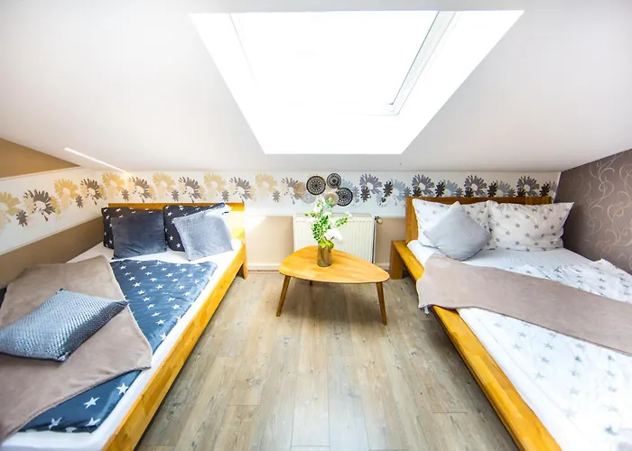 Bookeinfach - Private - Sauna Jacuzzi Whirlpool Swimmingpool Alahna Sup Beachvolleyball Billiards Ping Pong Cinema Theater Music Disco Ball Bbq Und Parkplaetze * Bad Ems